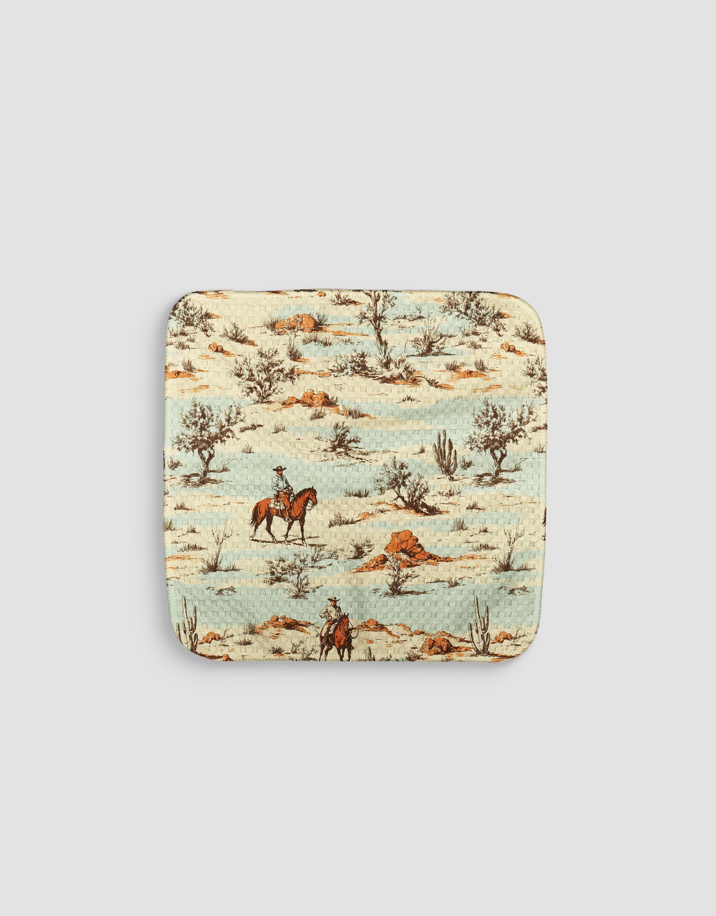 Faded Desert Dishcloth