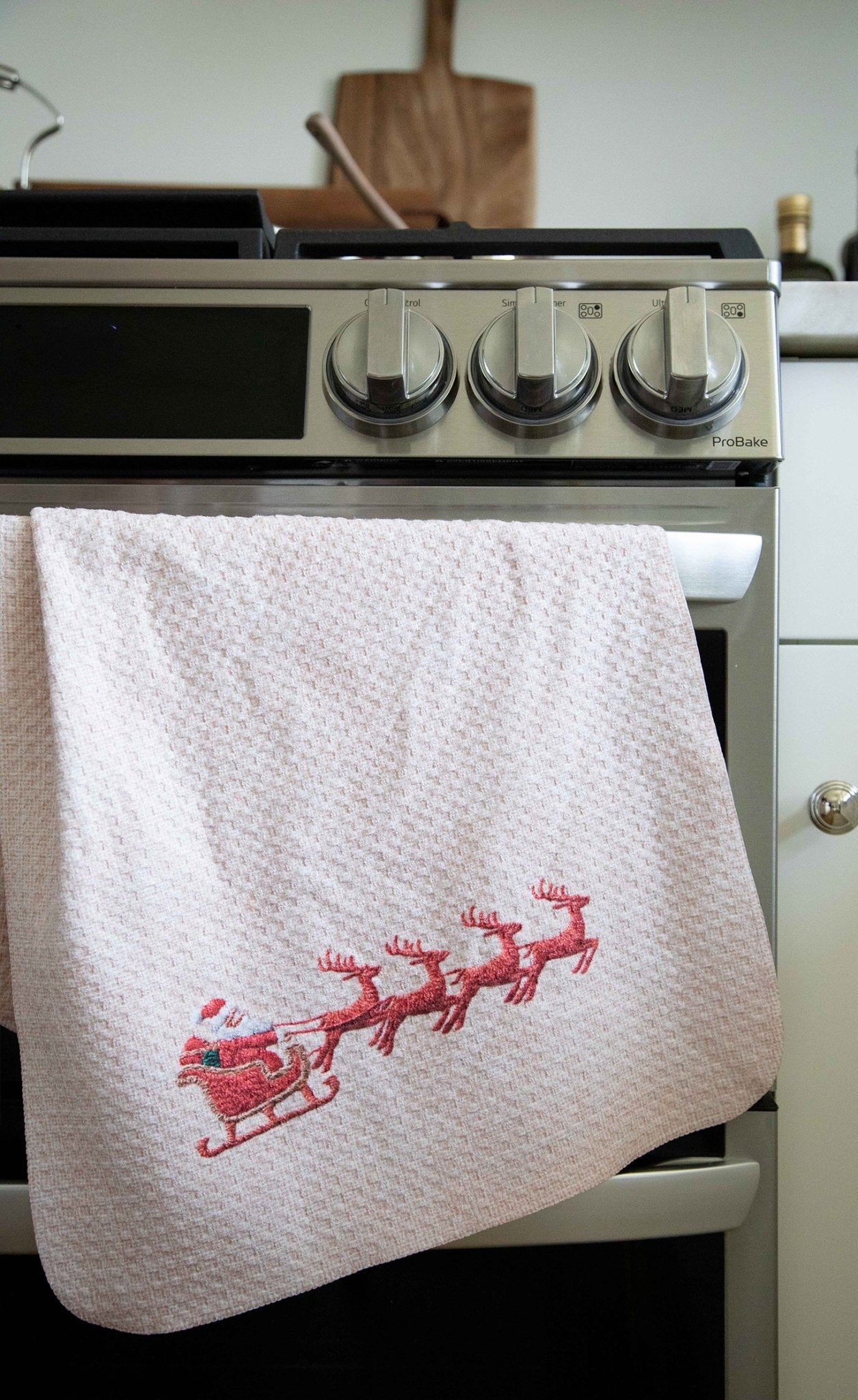 Sleigh Ride Embroidery - Loom Loom