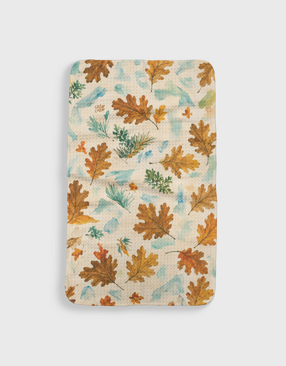 Autumn Sky Oak