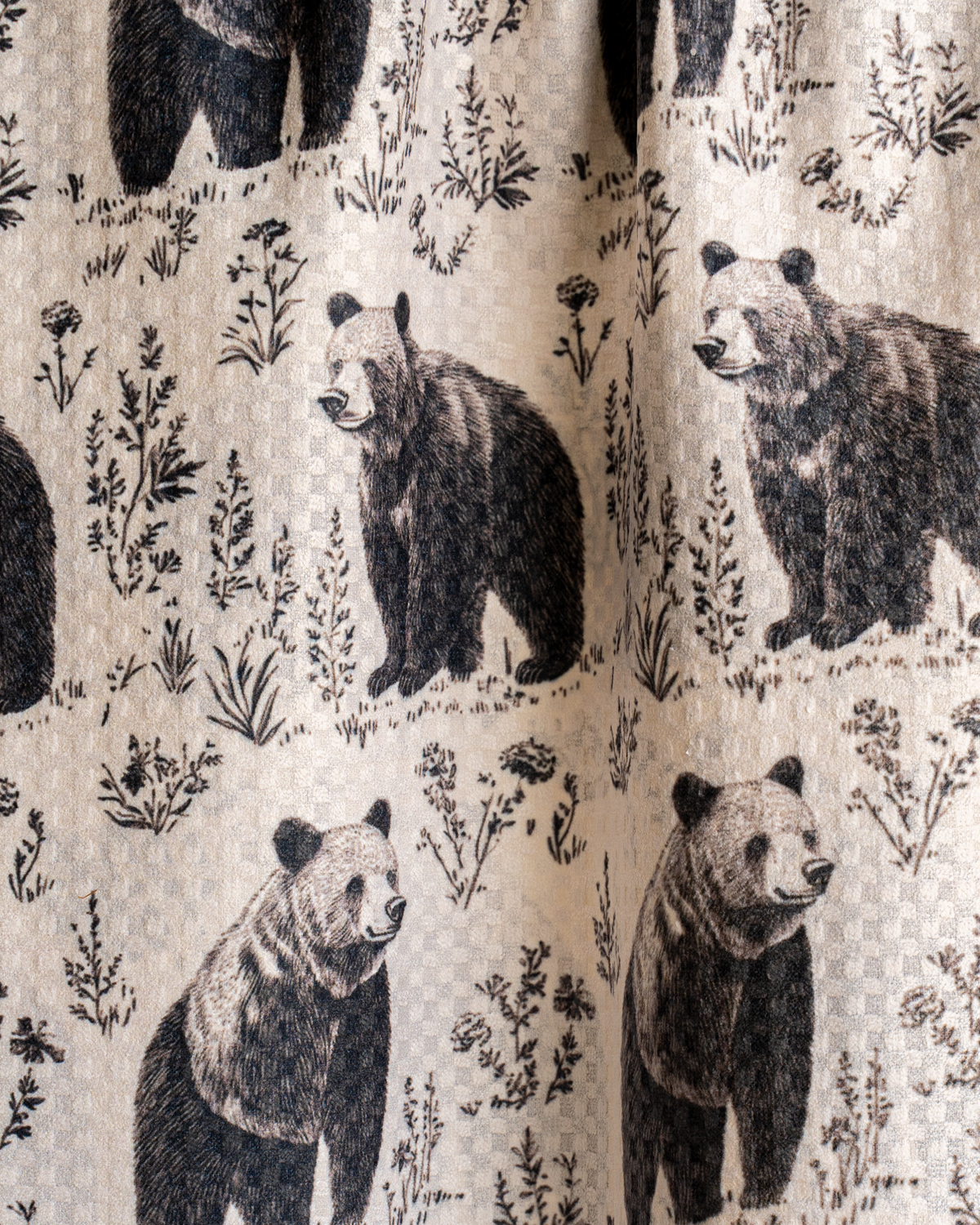 Bears