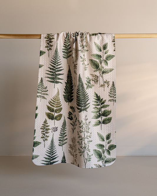 Ferns