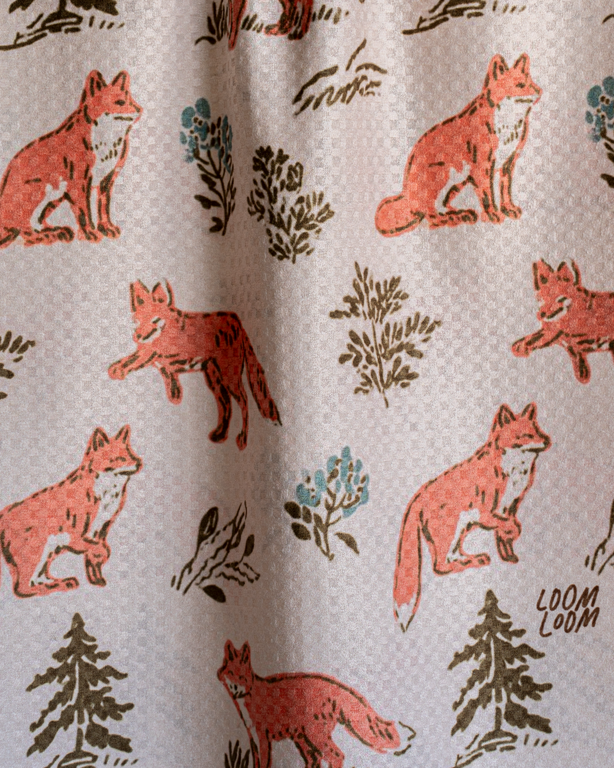 Cute Foxes