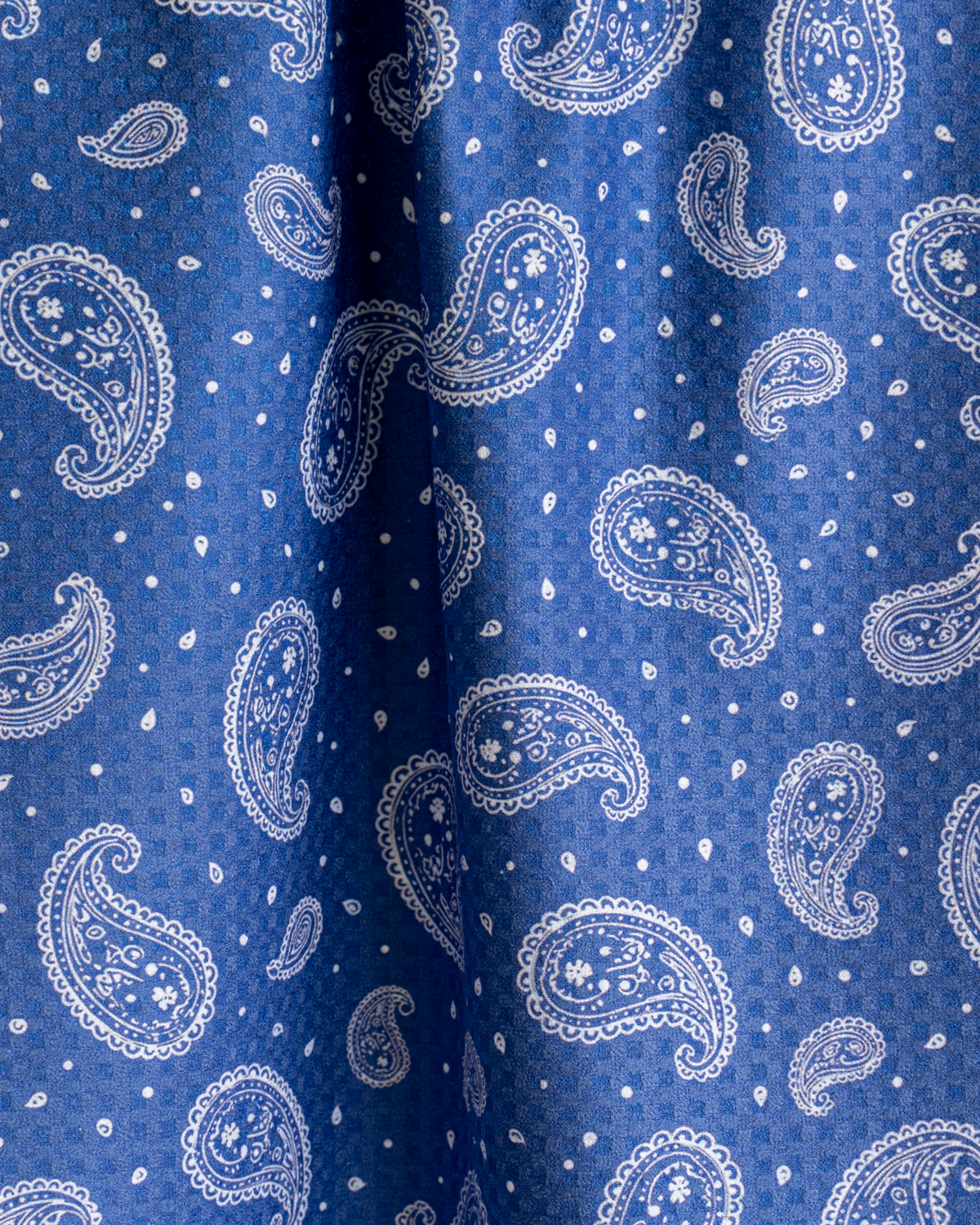 Royal Paisley