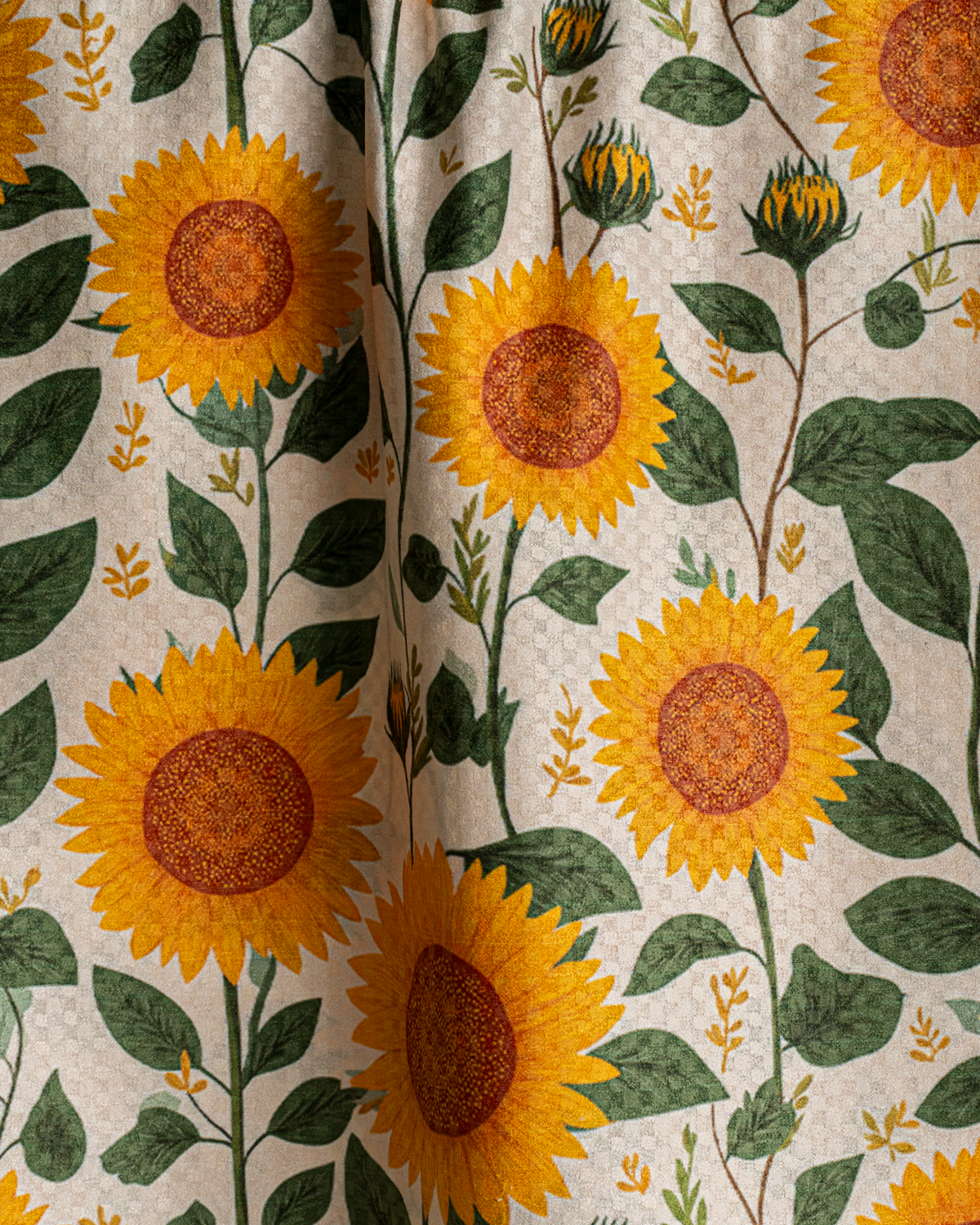 Sunflower Vines