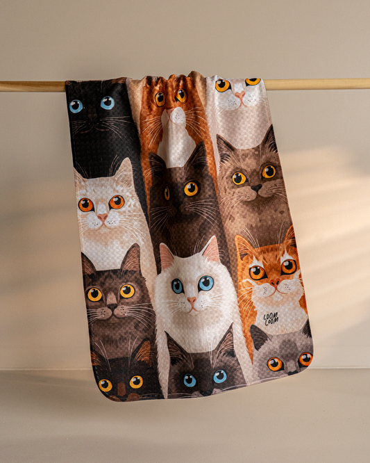 Kitty Crowd