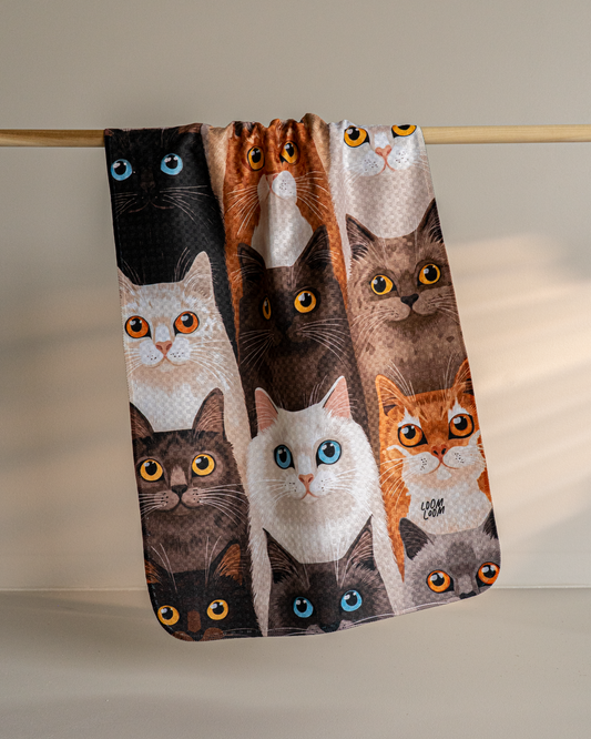 Kitty Crowd