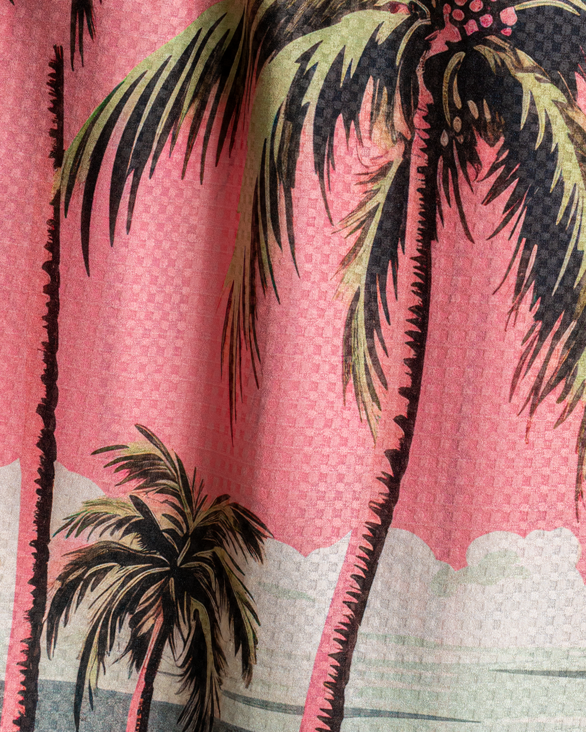 Pink Palm