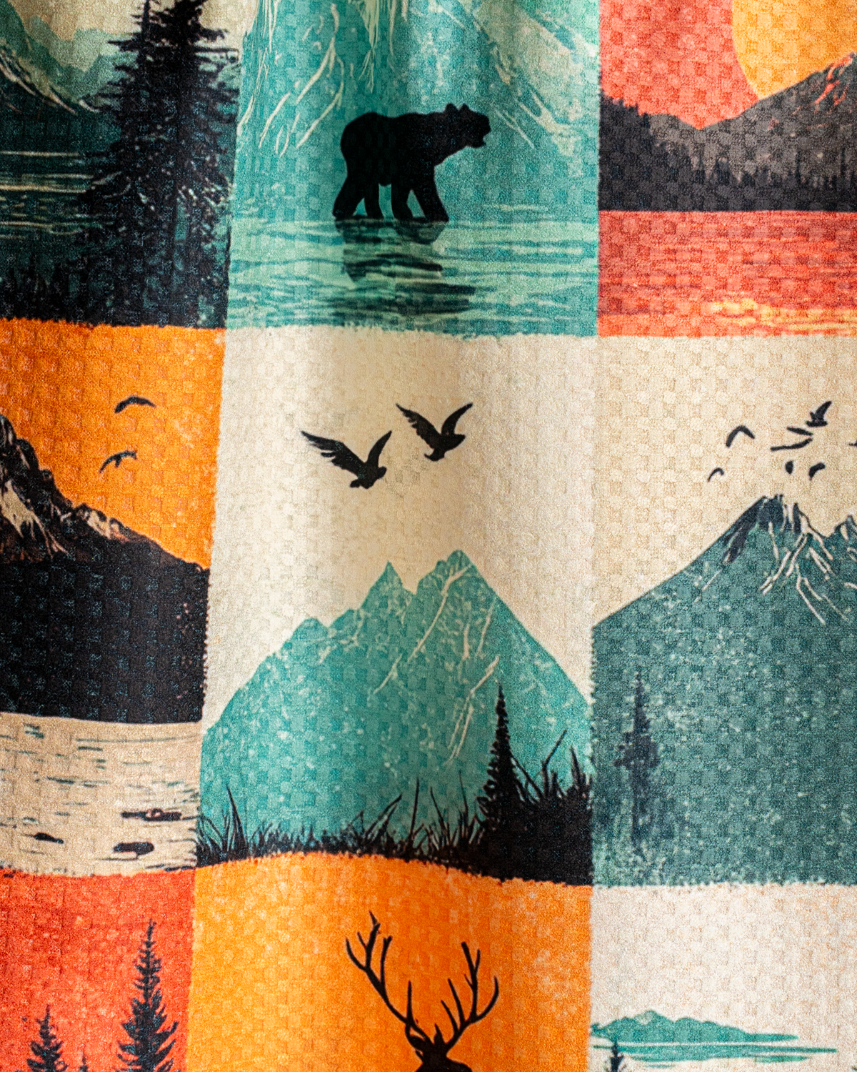 Forest Frames