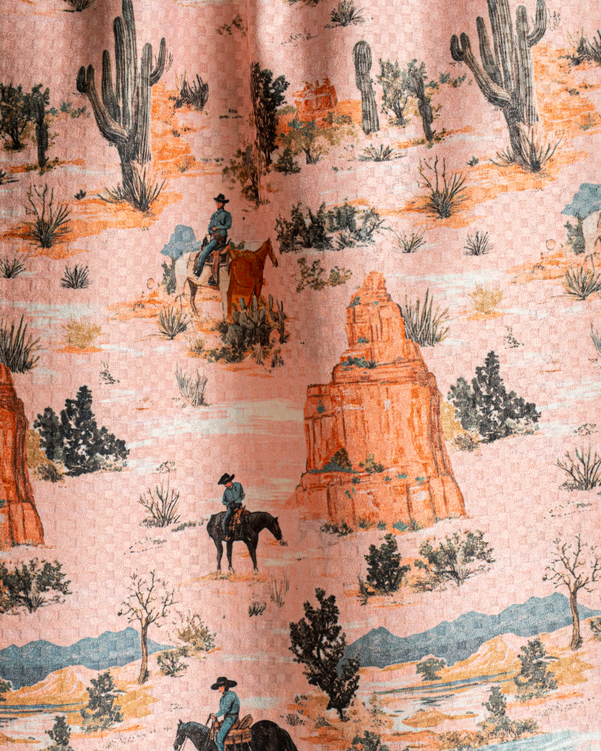 Coral Desert