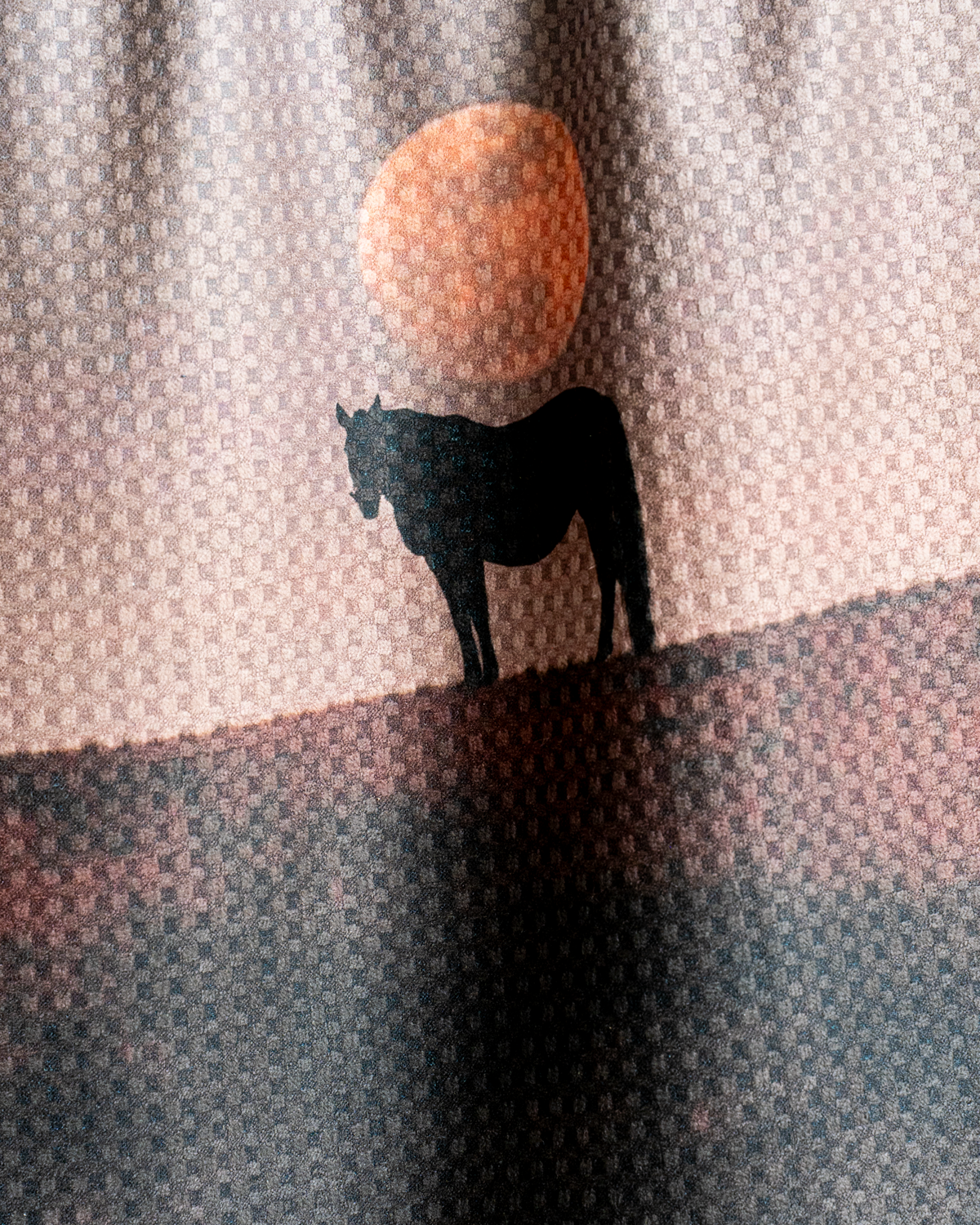 Moonlight