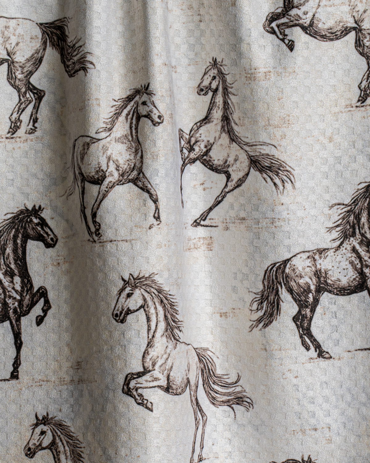 Horsies