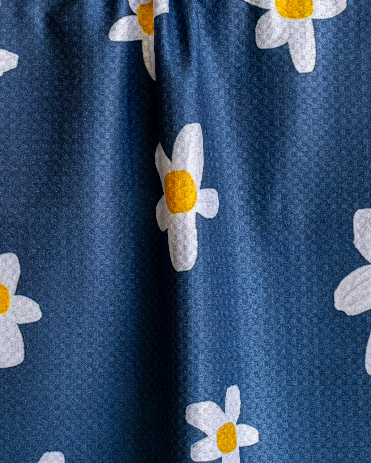 Painted Daisies
