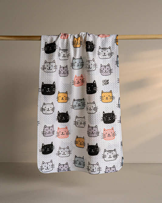 Cartoon Kitties
