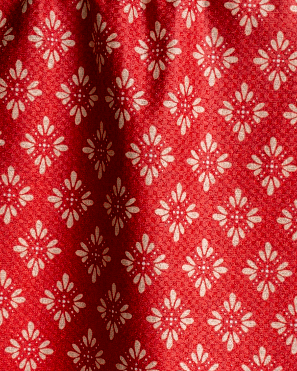 Christmas Blooms