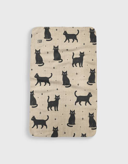 Cat Scatter