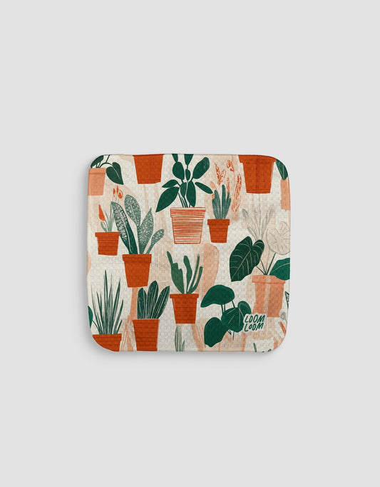 Big Houseplants Dishcloth - Loom Loom