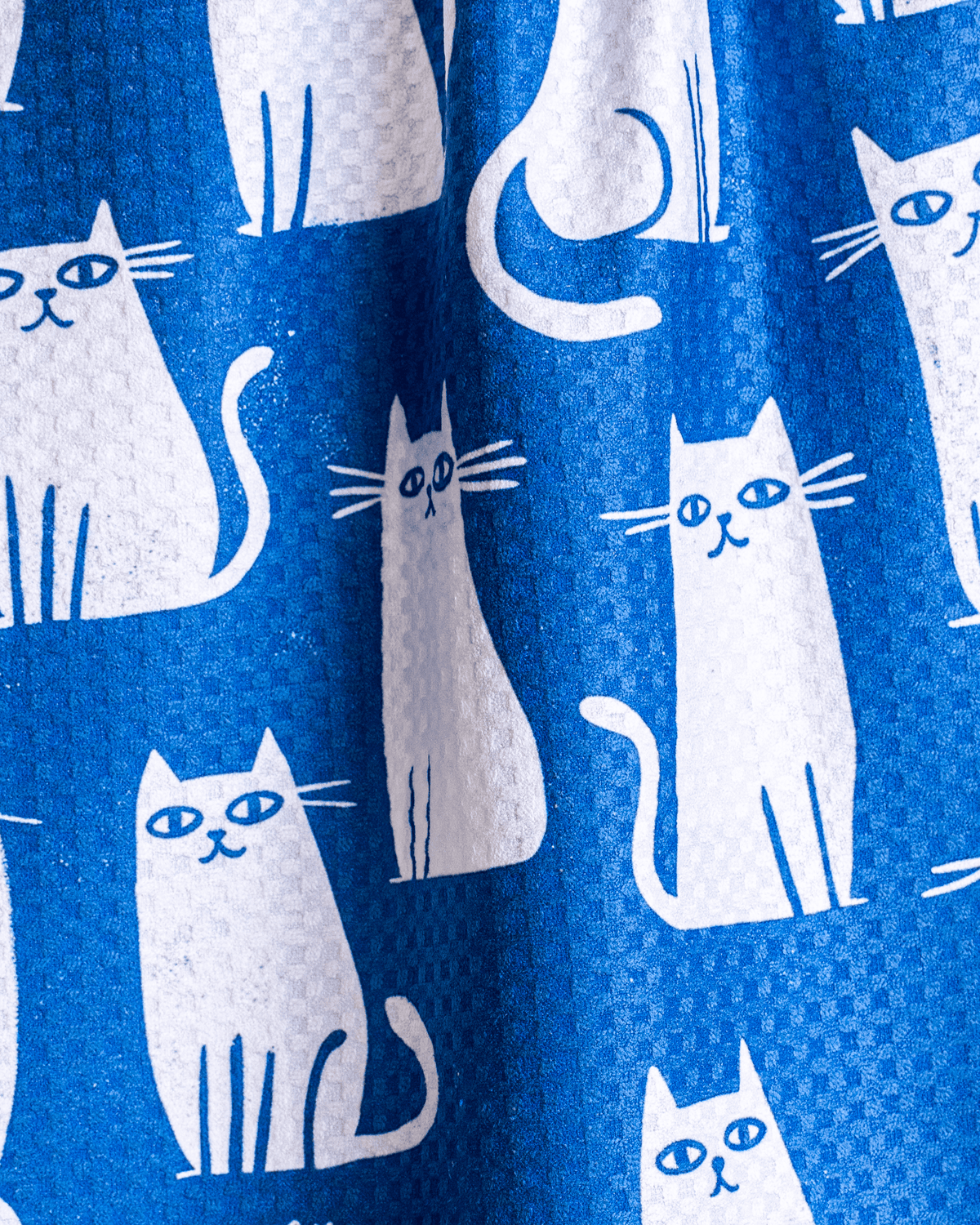 Blue Cats - Loom Loom