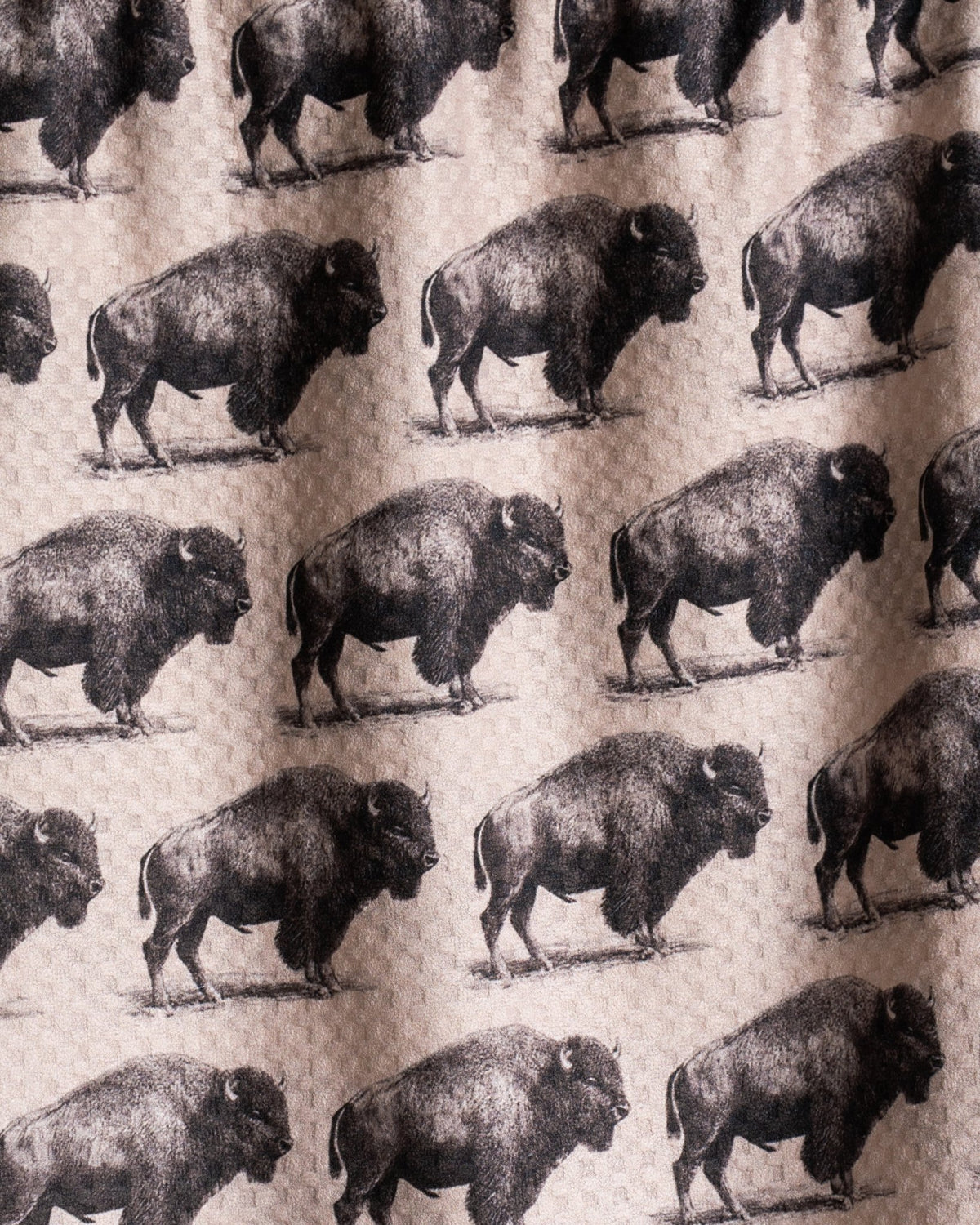 Buffalo Rows - Loom Loom