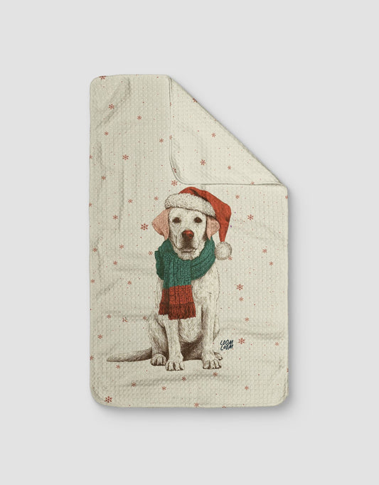 Christmas Lab - Loom Loom