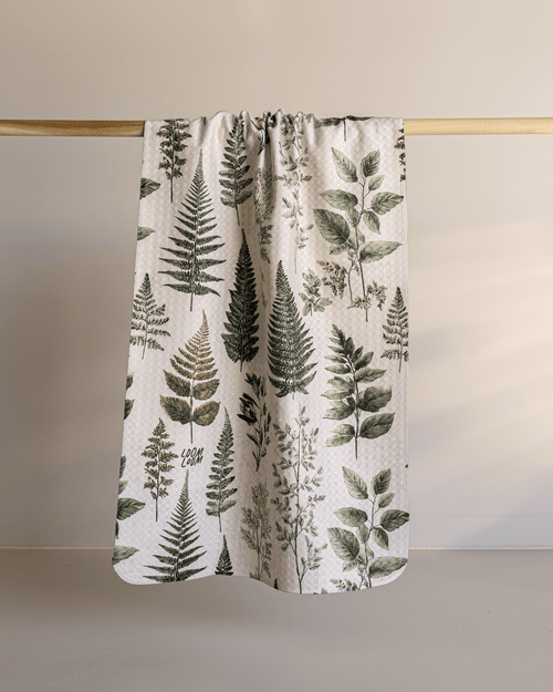 Ferns