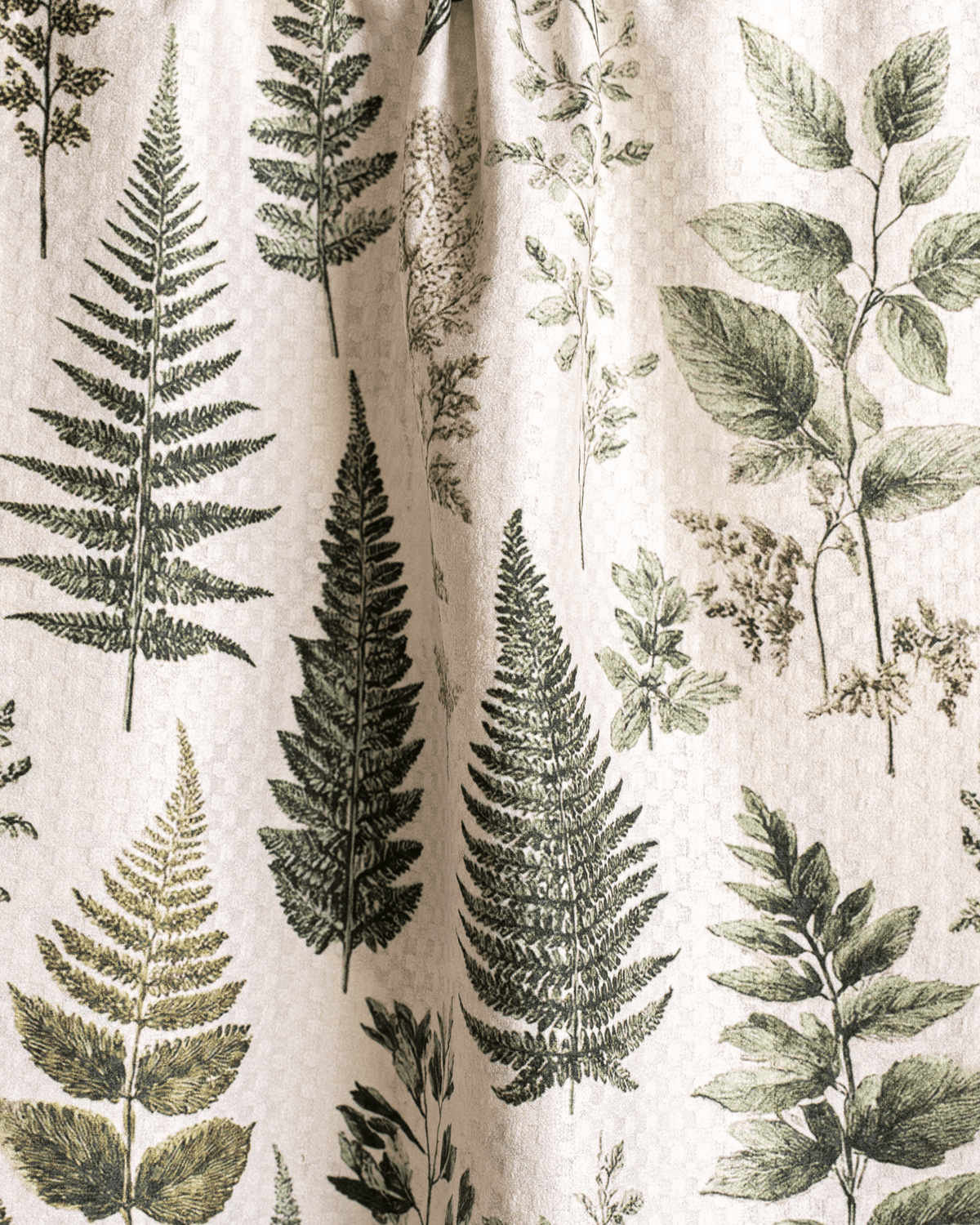 Ferns - Loom Loom