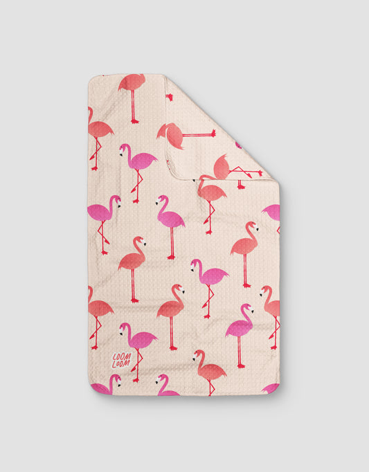 Flamingos