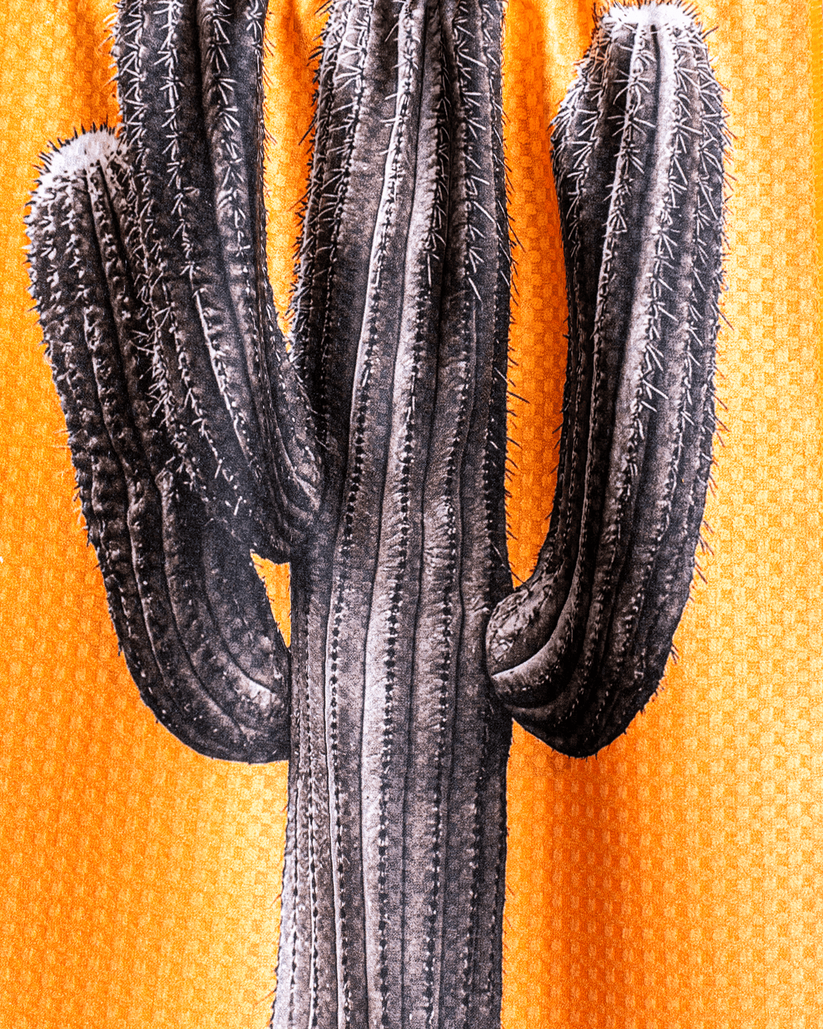 Orange Cactus - Loom Loom