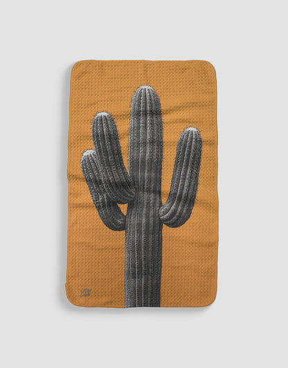 Orange Cactus