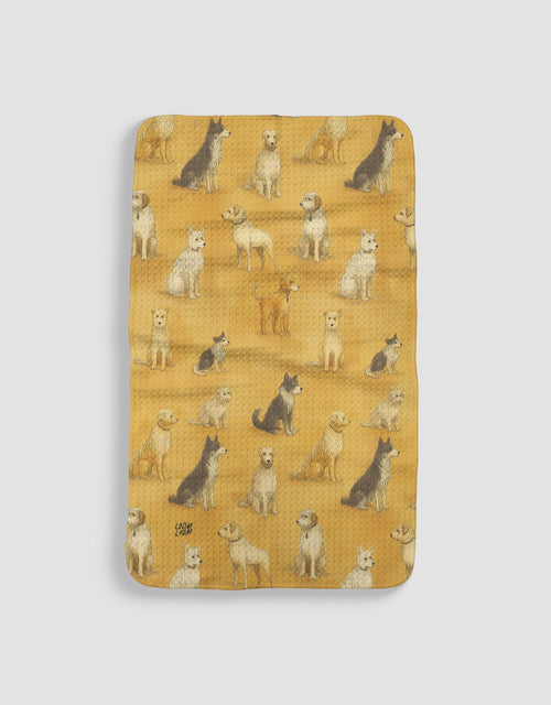 Shaggy Tan Dogs